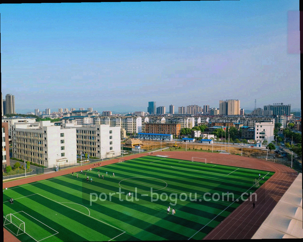 博狗网APP手机与PC设备概念图